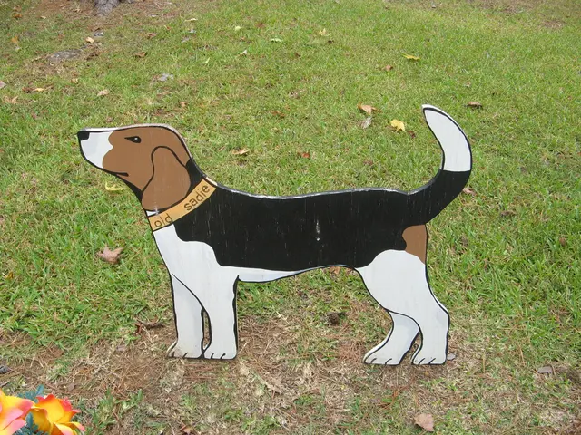 Dogecoin Value Outlook: May Dogecoin Reach $3? Analysts Speculate Possibility, Yet Viral Coin...