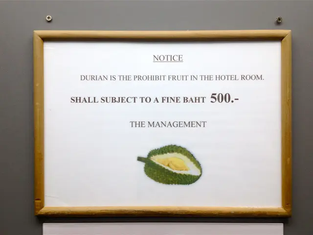 Jackery Explorer 500 UK Evaluation - Consider This Prior to Your Purchase...