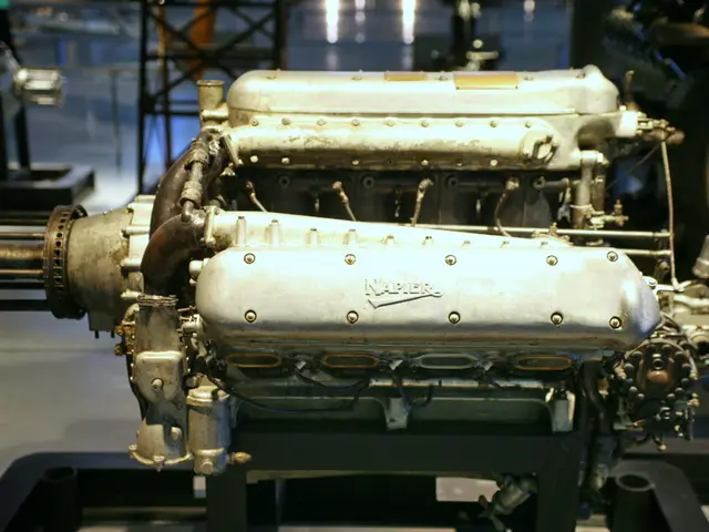 Member States will collaborate with the Commission in creating the yearly plan of activities.