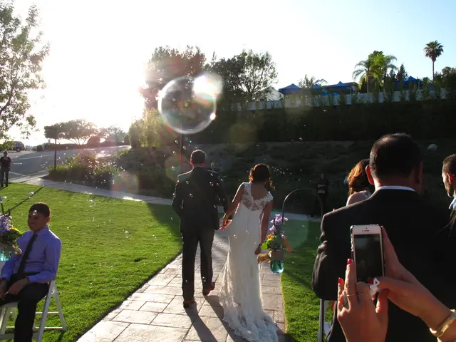 Wireless Network Governance: Strategies and Methods