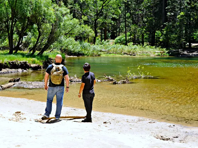 NatWest's payment service, Payit, links up with Prommt to help businesses advance and streamline...