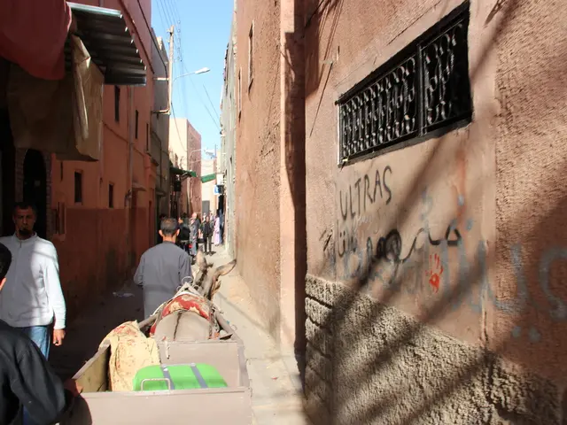 Satellite endeavor, named Nuanua, initiated by Orange in Wallis and Futuna islands