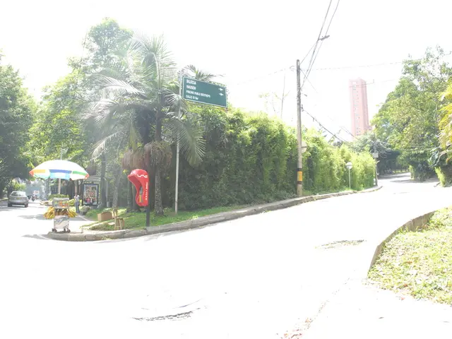 Uncovered Vulnerability in Cisco's Systems Revealed