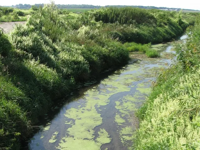 Strange Request: Individuals urged to erase old emails in response to water shortage