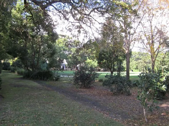 Meta's AI-Powered Carbon Tracking Tool: A Revolution in Forest Management