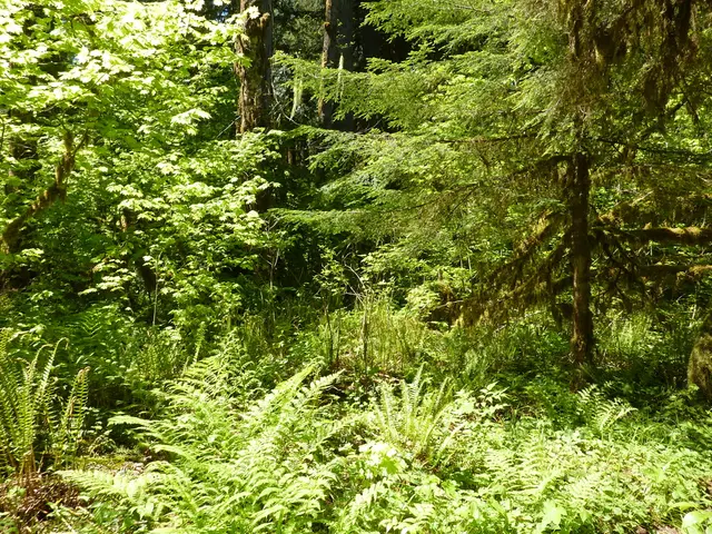 Glance at the Webb telescope's image of an extraterrestrial planet equivalent to Earth reveals...