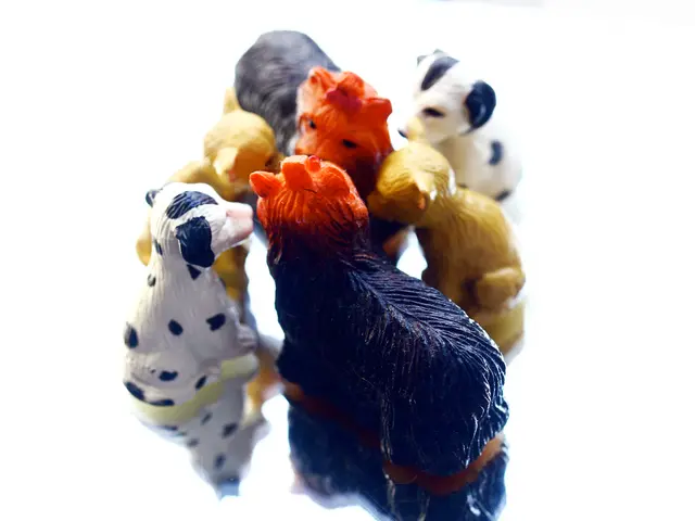 Over the years, the range and popularity of Pokémon merchandise have significantly expanded.