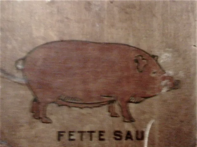 Xenotransplantation Miracle: The Fascinating Journey from Pig to Human