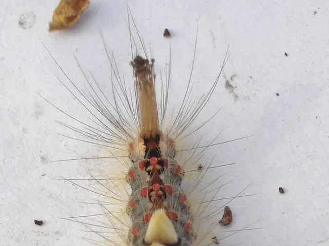 Daily use of Daikin Air Purifier MC55VB effectively combats dust and pollen buildup