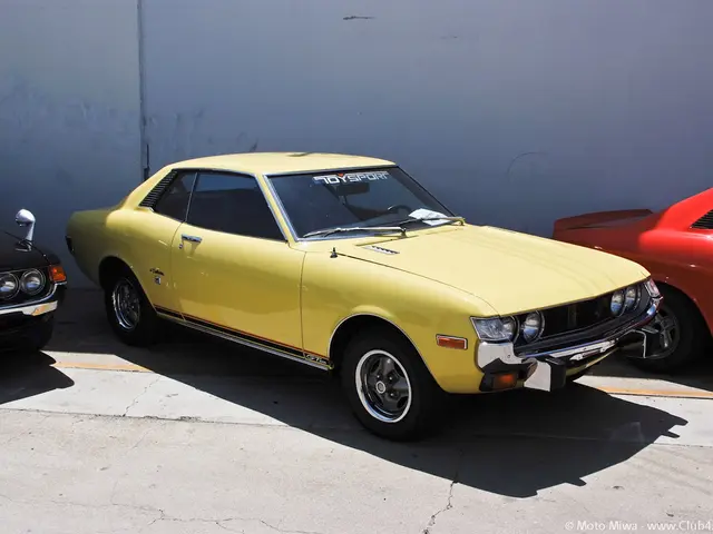 Volkswagen T5 Driveshaft Issues, Signs and Guidance on Replacement