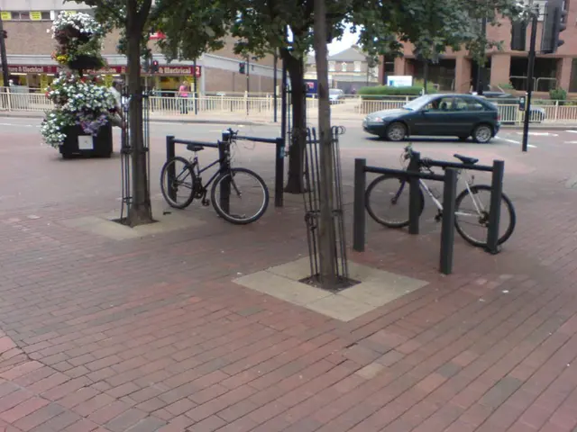 Natural Approaches and Blockchain Technologies Shaping the Path of Our Site