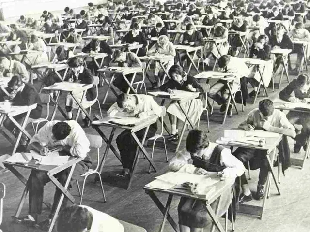 AI-driven solutions provide minimal productivity boost for workforce