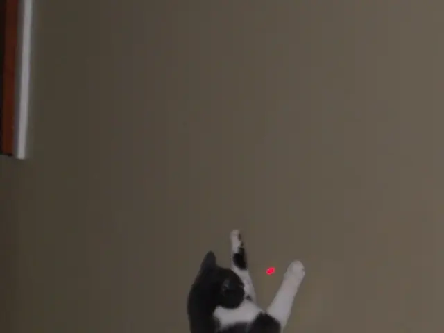 Innovative Laser Technology Introduced for Food and Beverage Packaging by Sidel