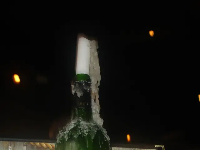 Sportsbook integration launched in Salsa Gator for the first time