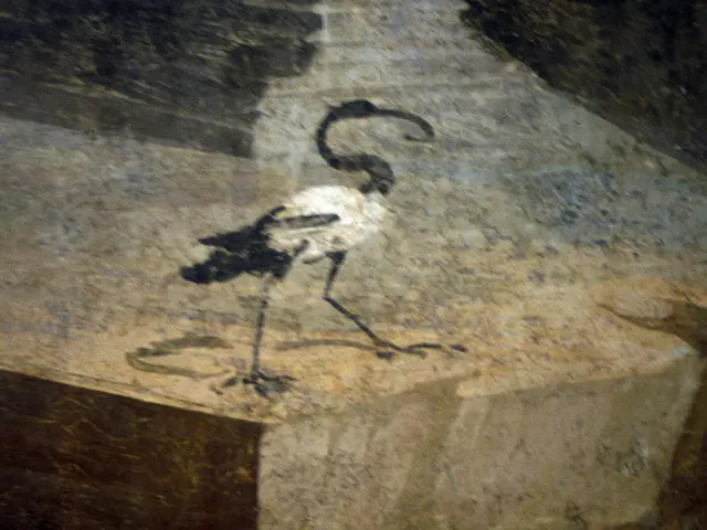 Robot with human-like qualities exhibits uncontrolled outburst at a robotics lab in San Francisco