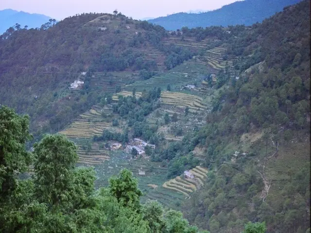In this picture I can see group of trees and few buildings and I can see hills.