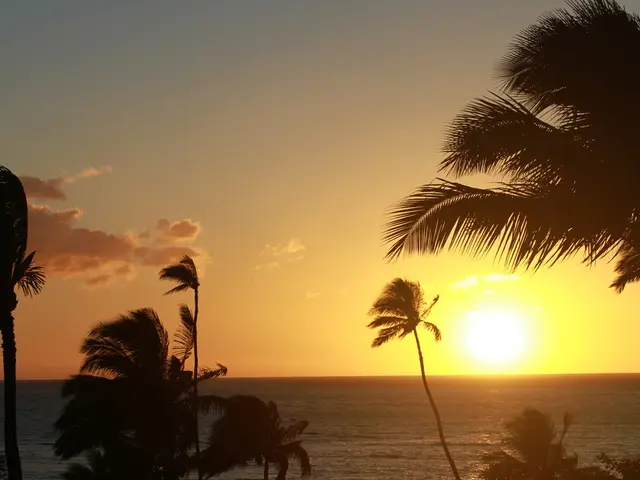 n this picture I can see sky, trees, water and sun.