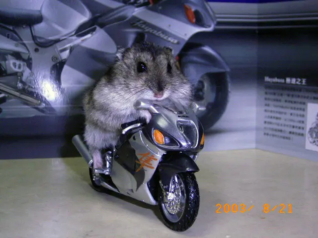 In this image I see a mouse which is on the bike, In the background i see a photo of the bike.