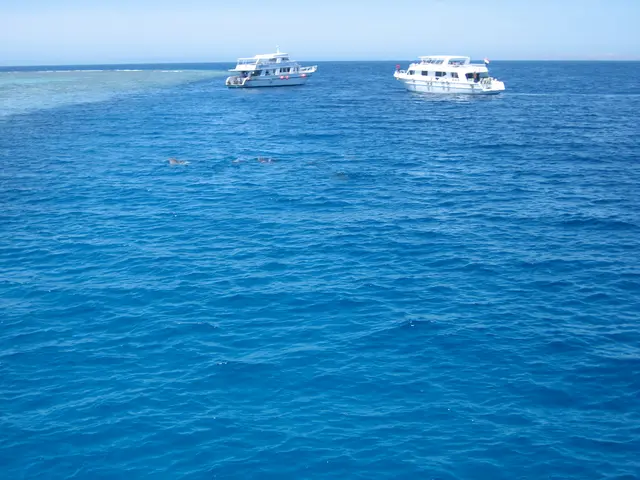 In this picture there are two ships on the water. At the top there is sky. At the bottom there is...