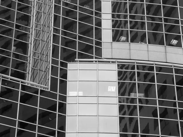 In this picture it looks like an iron net, this image is in black and white color.