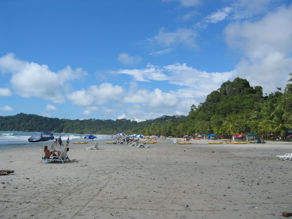 ABBA band member Björn Ulvaeus, known as one of the 'B's, co-authored the successful pop songs of...